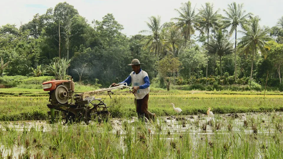 Bappenas Rancang Peta Jalan Bioekonomi, Selesai Desember 2028
