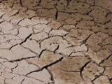 Dampak El Nino Terhadap Distribusi BBM di Indonesia