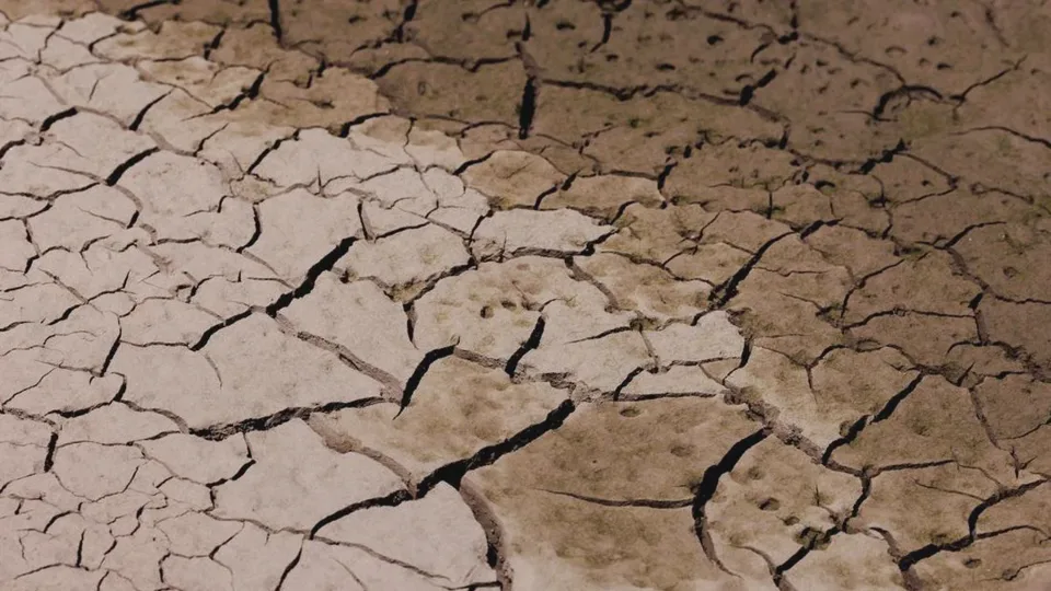 Dampak El Nino Terhadap Distribusi BBM di Indonesia